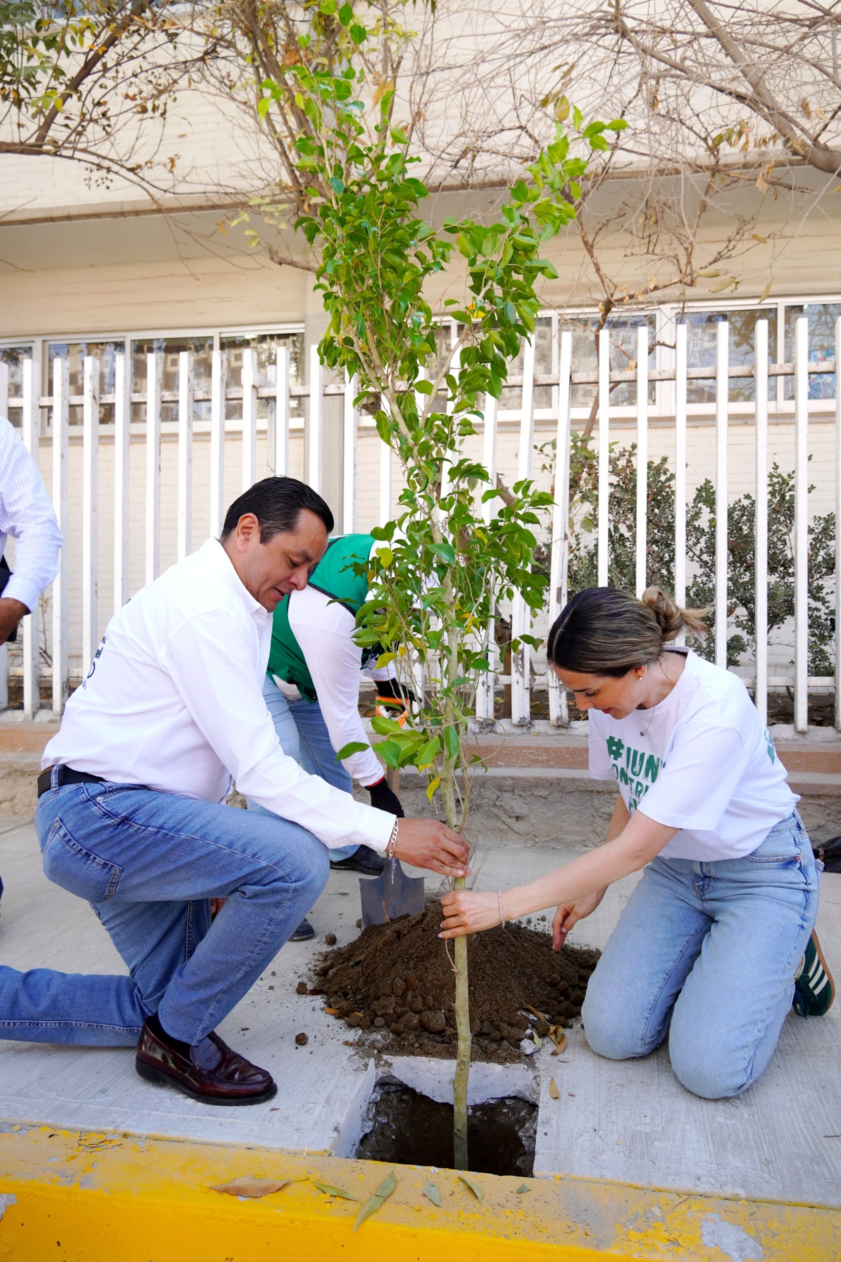 Sample image for first version of blog listing